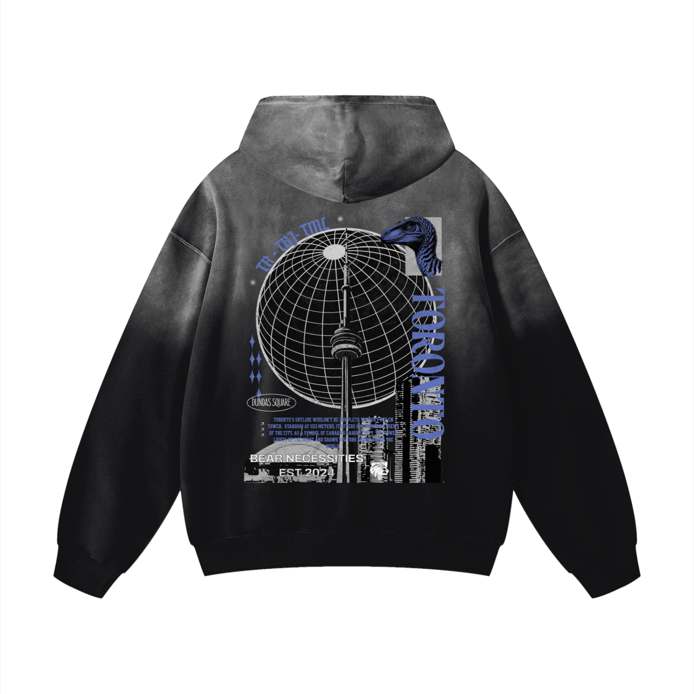 Toronto Team Hoodie - Bear Necessities Clothing 